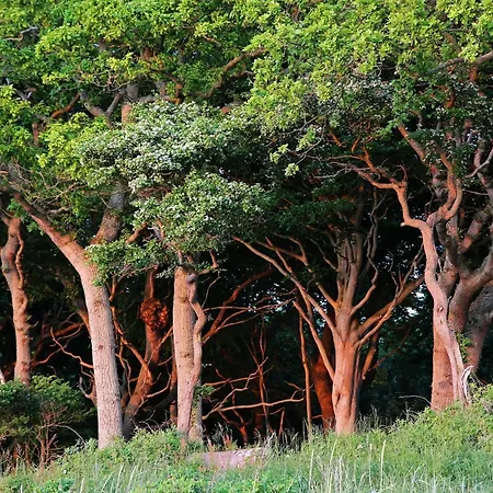 Nyaraló Luxury Pool In Lohals - By Traum
