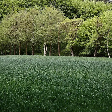 Luxury Pool In Lohals - By Traum Hou