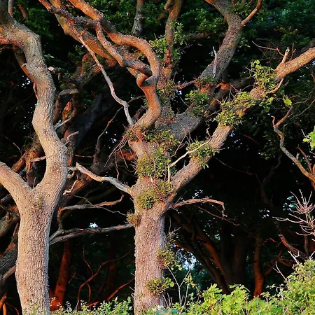 Luxury Pool In Lohals - By Traum Hou