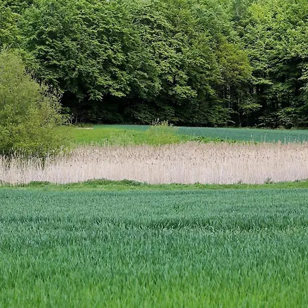 Nyaraló Luxury Pool In Lohals - By Traum